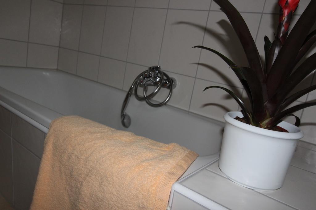 Gaestehaus Heimenberg Bad Rippoldsau-Schapbach Luaran gambar