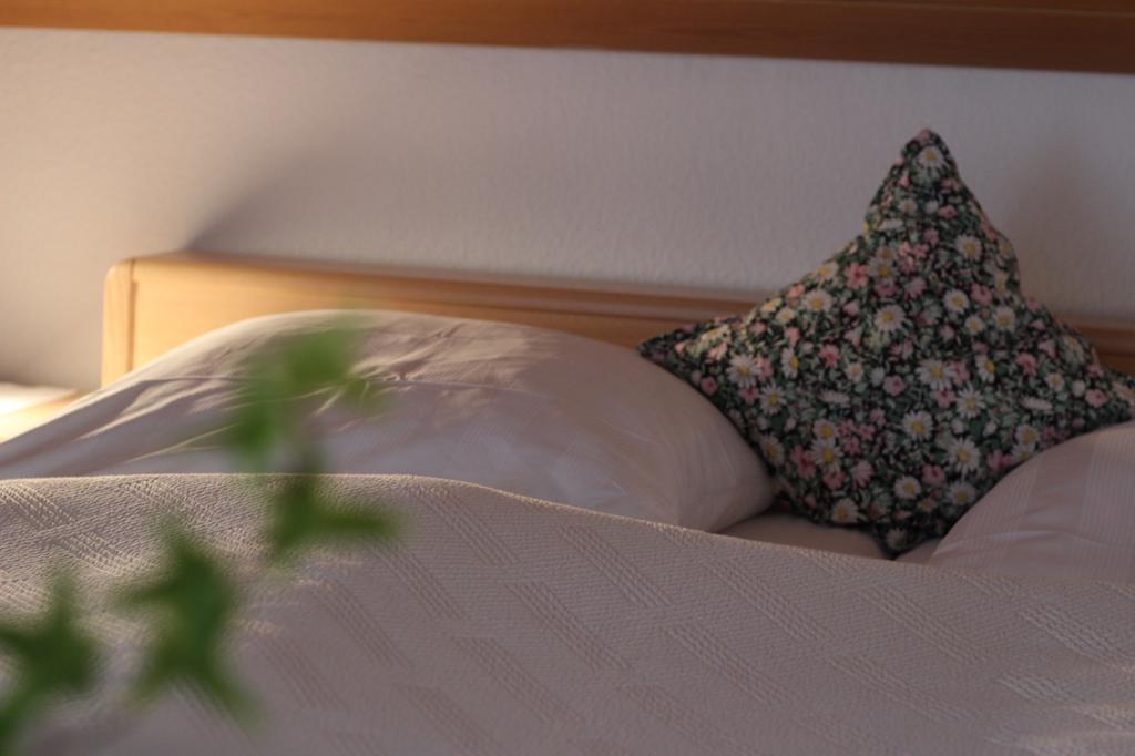 Gaestehaus Heimenberg Bad Rippoldsau-Schapbach Luaran gambar