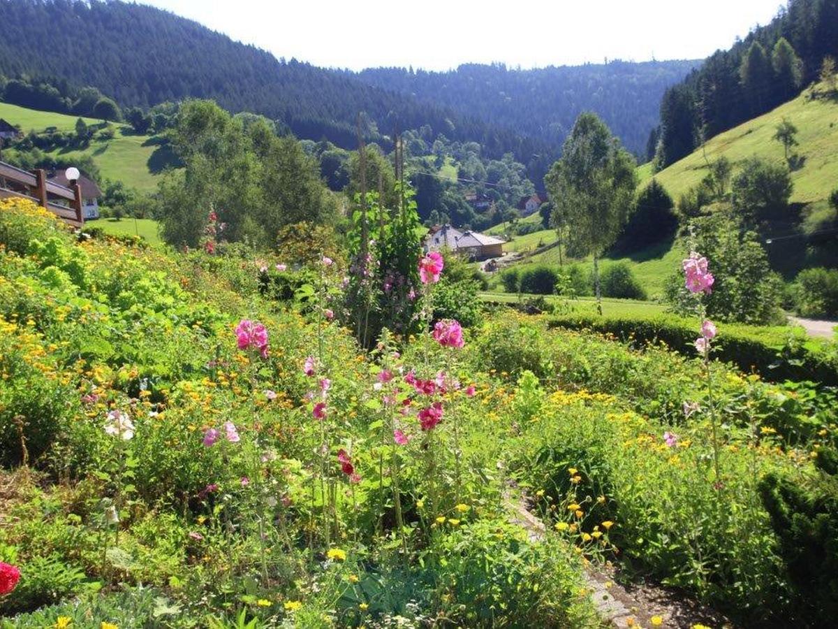 Gaestehaus Heimenberg Bad Rippoldsau-Schapbach Luaran gambar