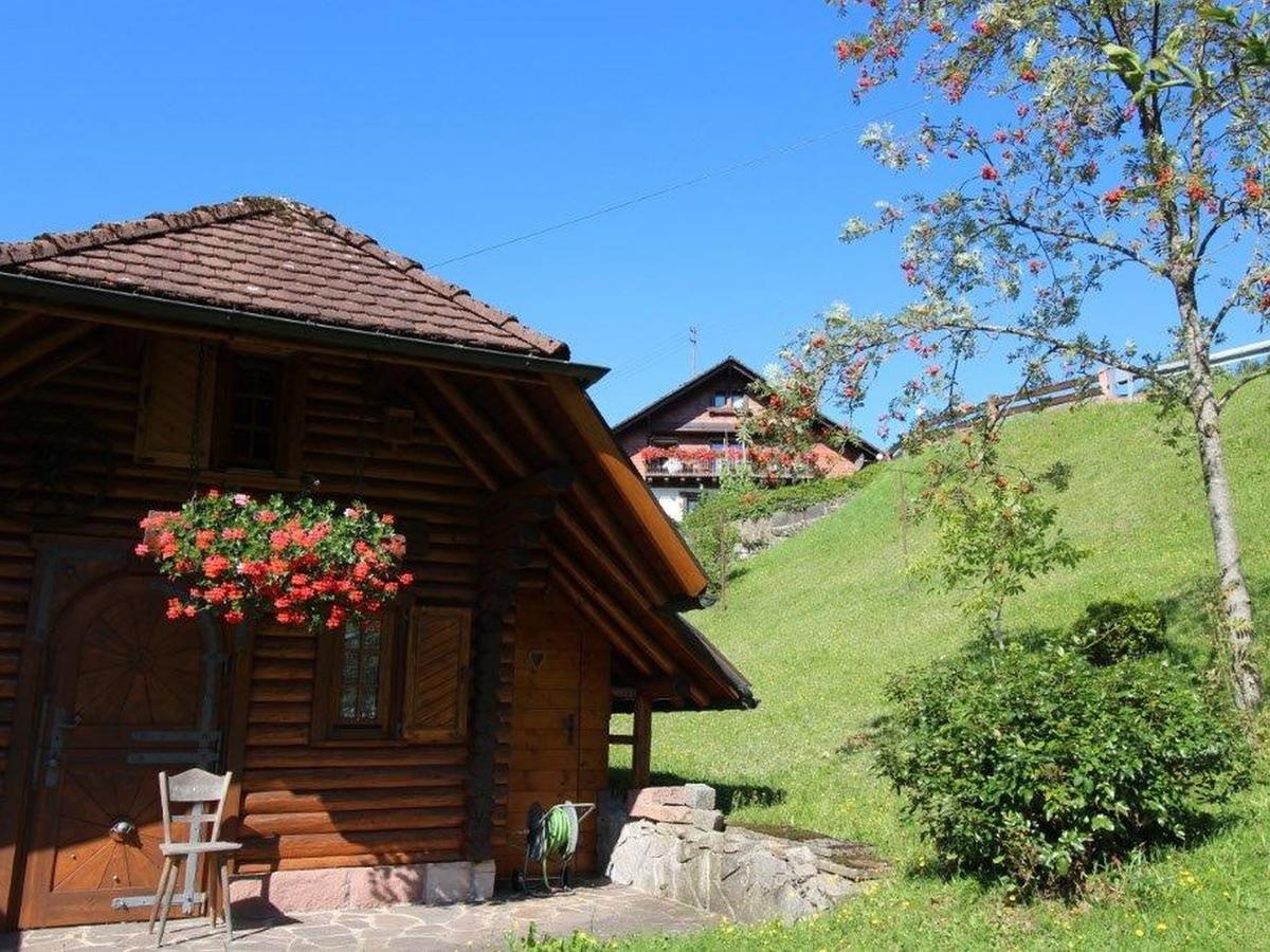 Gaestehaus Heimenberg Bad Rippoldsau-Schapbach Luaran gambar